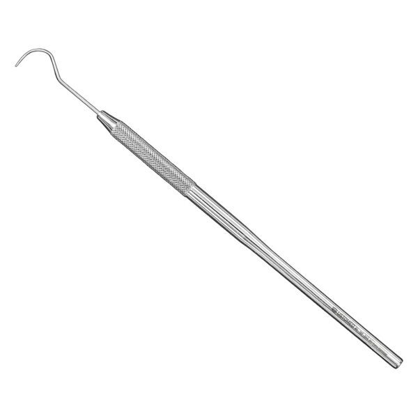 Sonde
