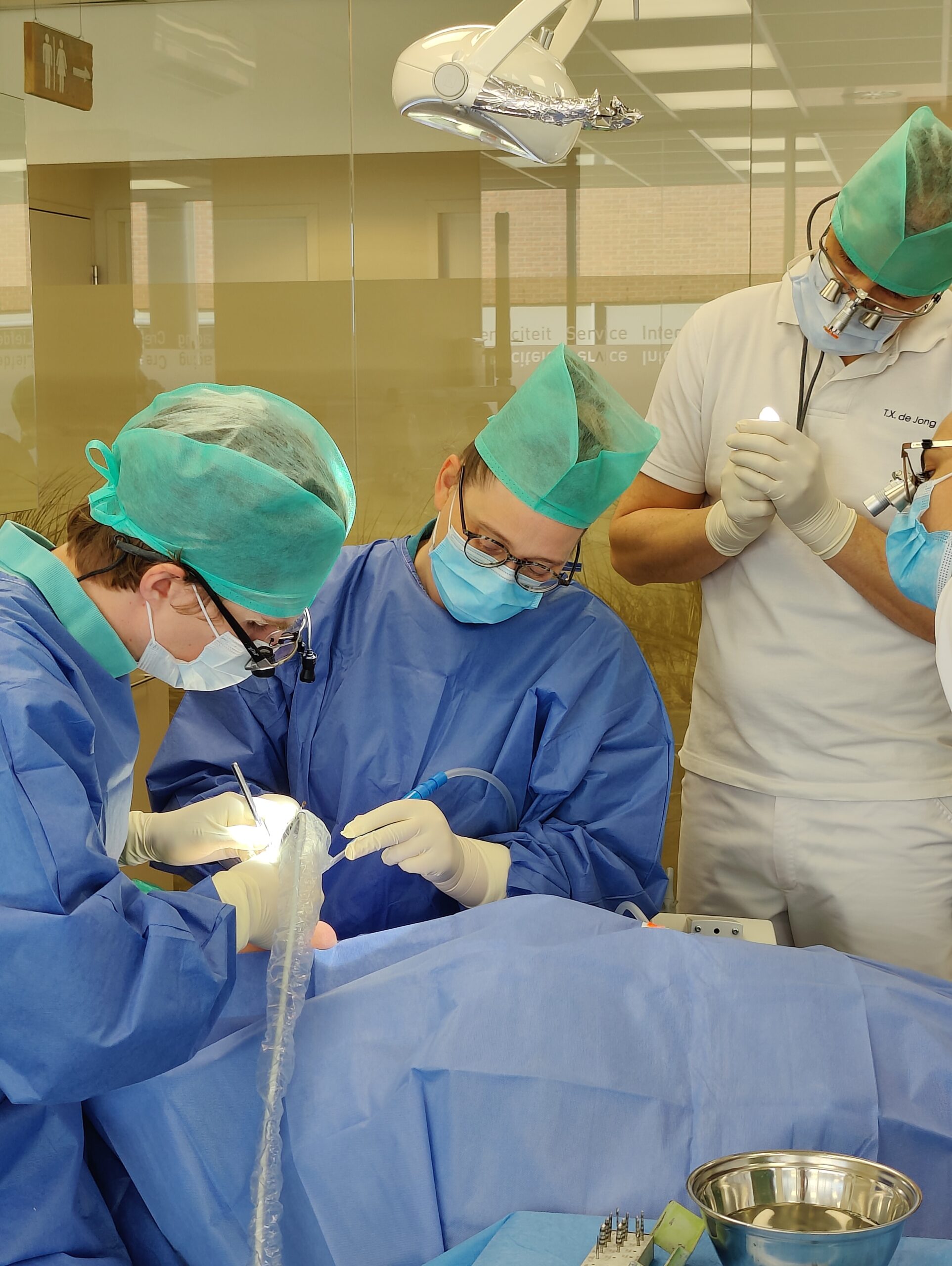 opleiding implantologie